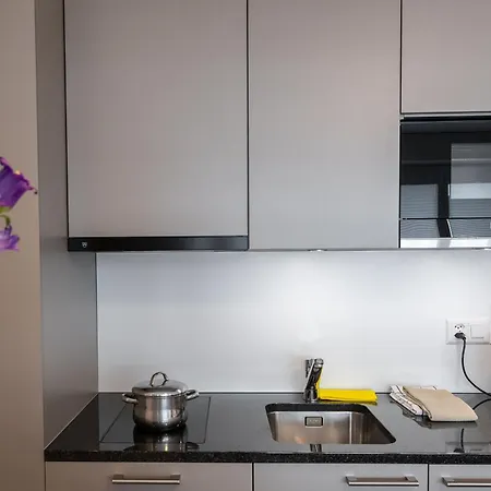 Apartmenthouse Viktoria In Hotel Bern
