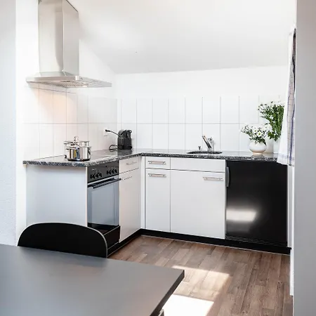Apartmenthouse Viktoria In 3* 伯尔尼