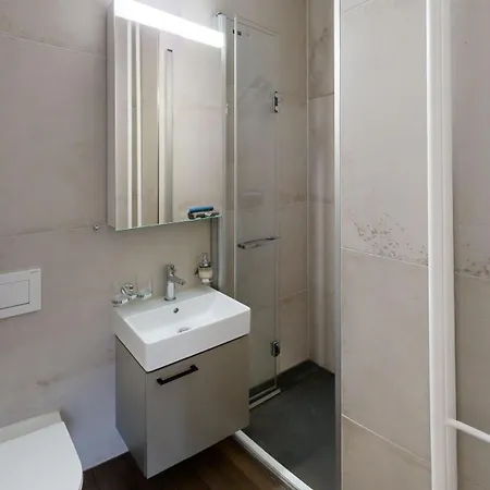 Apartmenthouse Viktoria In Hotel Bern